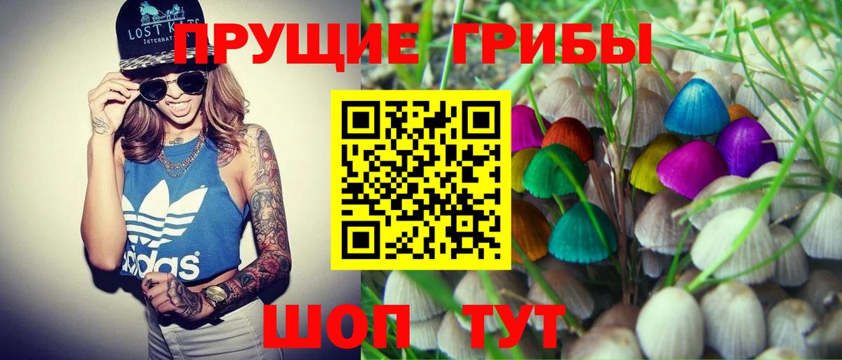 Псилоцибиновые грибы Psilocybine cubensis Среднеуральск